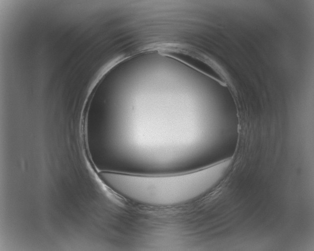 X0000062891050200601131012