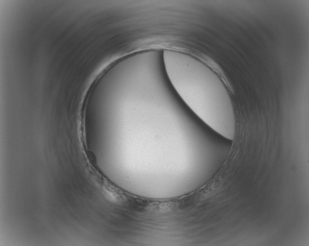 X0000062891051200601131012
