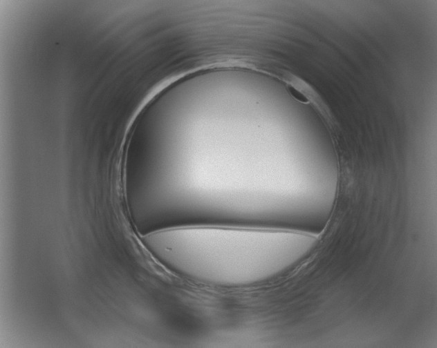 X0000062891052200601131012