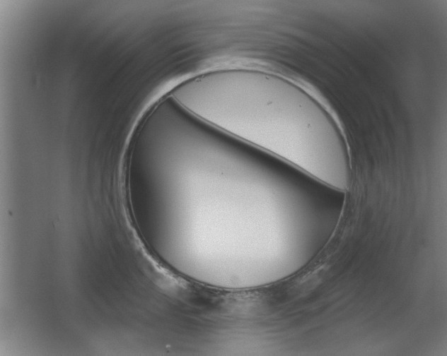 X0000062891053200601131012