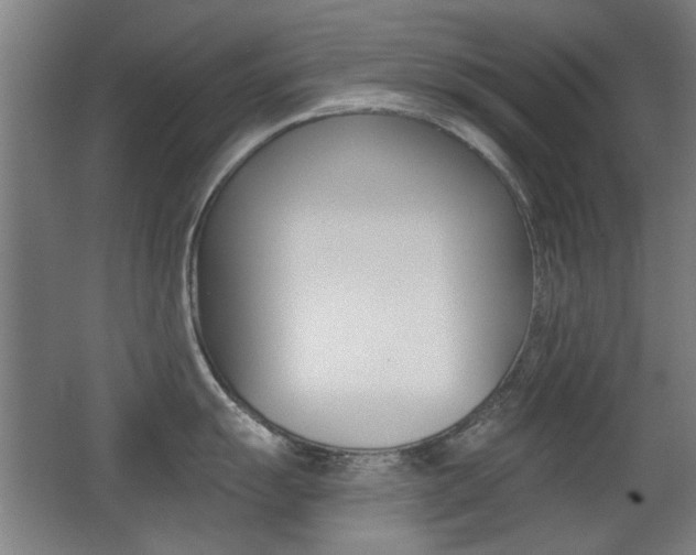 X0000062891055200601131012
