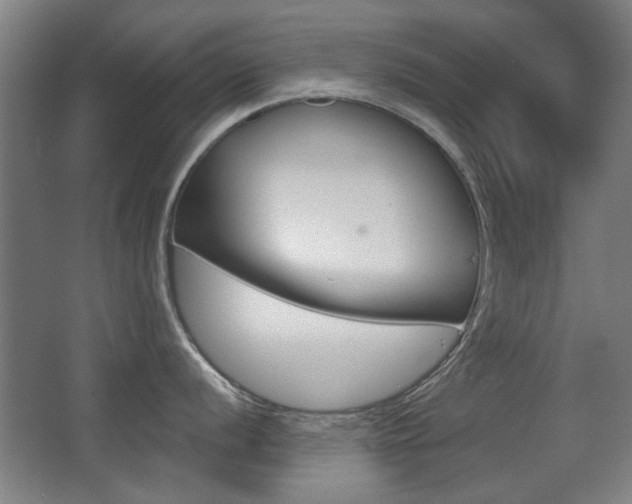 X0000062891056200601131012