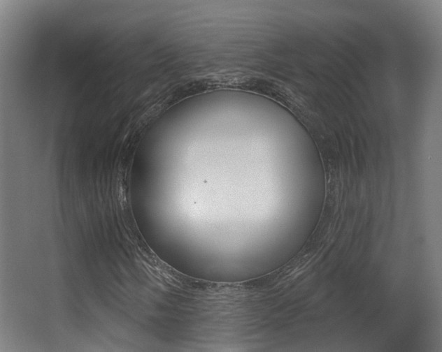 X0000062891058200601131011