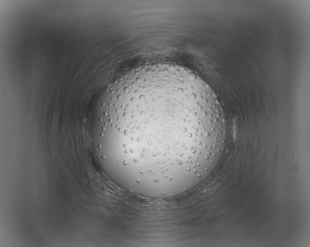 X0000062891059200601131011