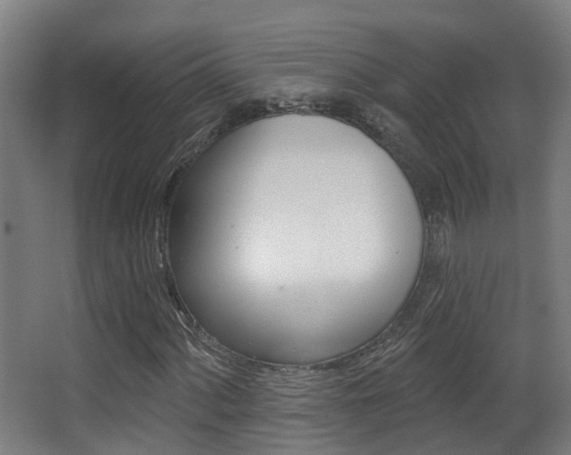 X0000062891060200601131011