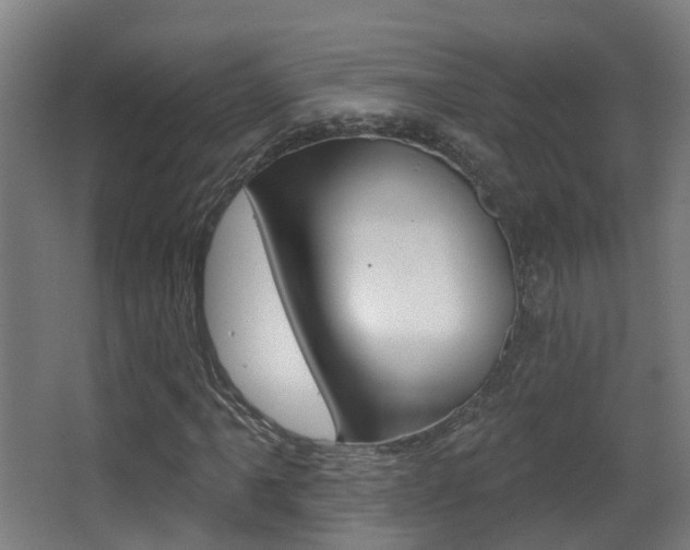 X0000062891061200601131011