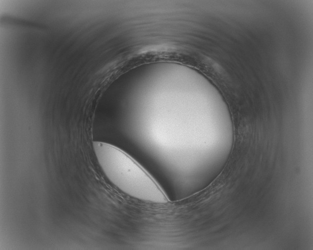 X0000062891062200601131011