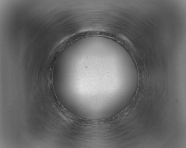 X0000062891064200601131011