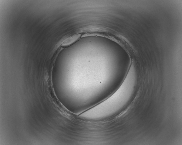 X0000062891065200601131011
