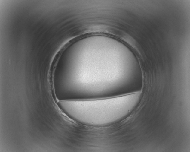 X0000062891068200601131011
