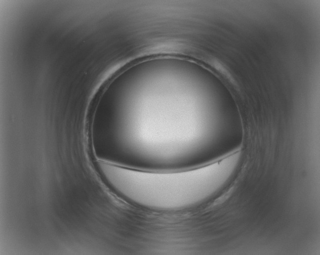 X0000062891077200601131010