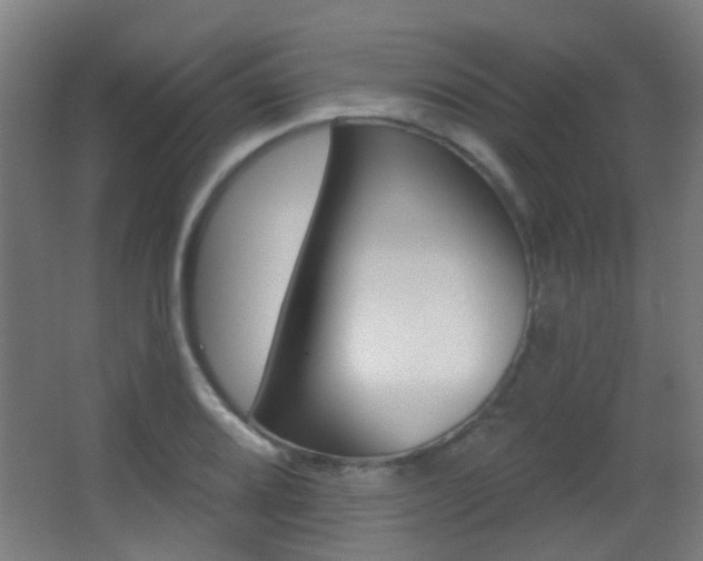 X0000062891080200601131010