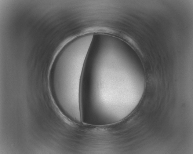 X0000062891082200601131010