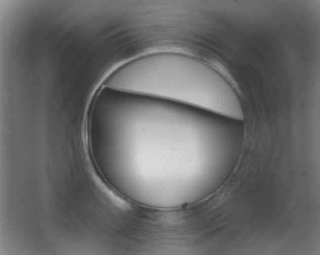 X0000062891084200601131010
