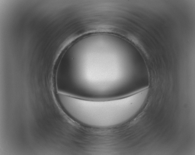 X0000062891085200601131010