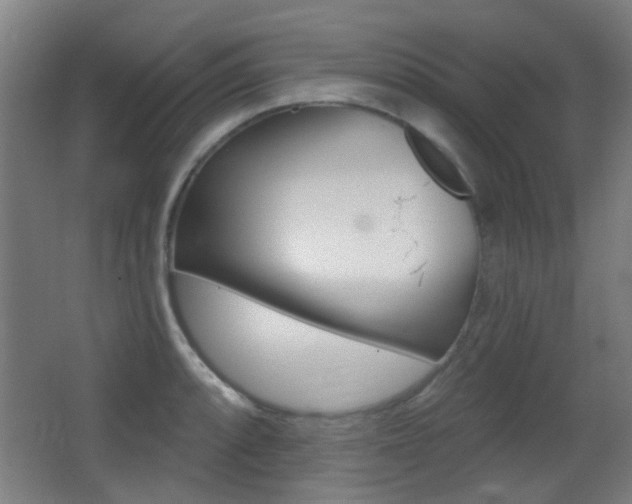 X0000062891088200601131010