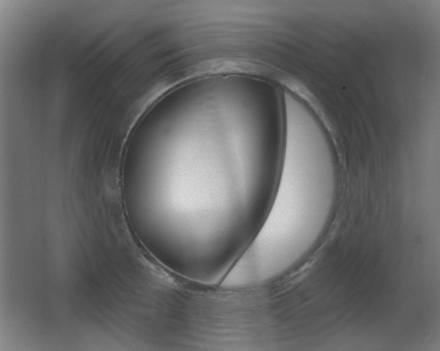 X0000062891089200601131010