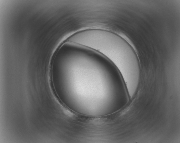 X0000062891093200601131010