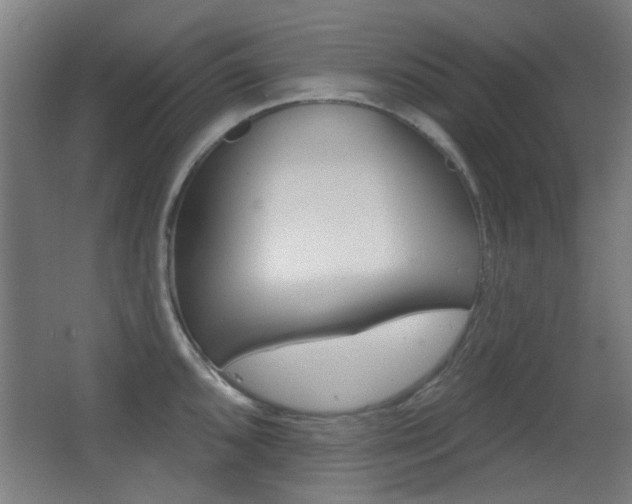 X0000062891096200601131010