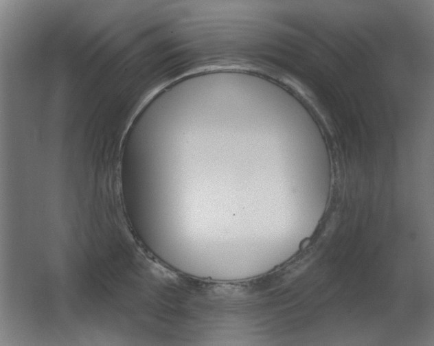 X0000062891097200601131010