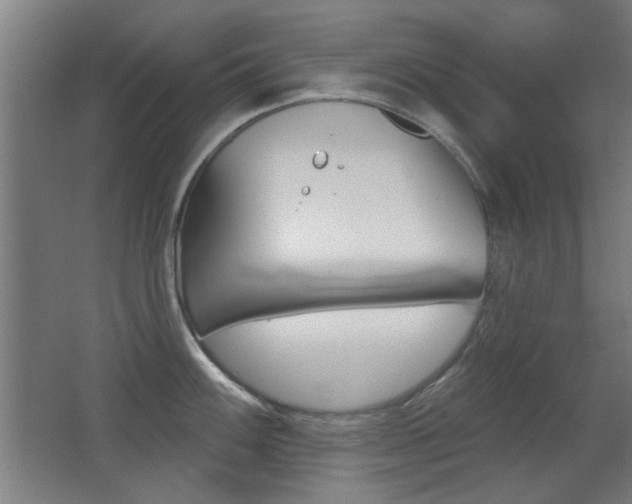 X0000062891100200601131010
