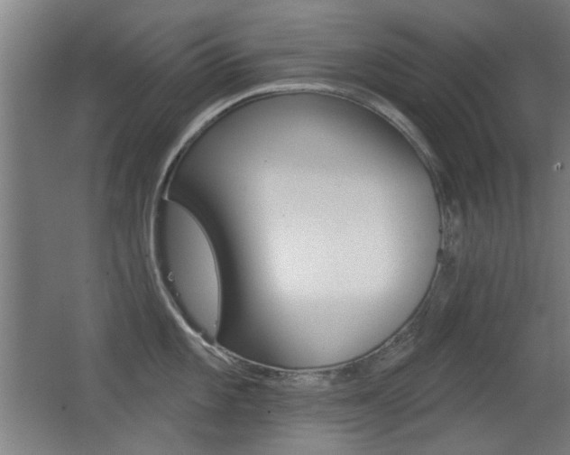 X0000062891101200601131010