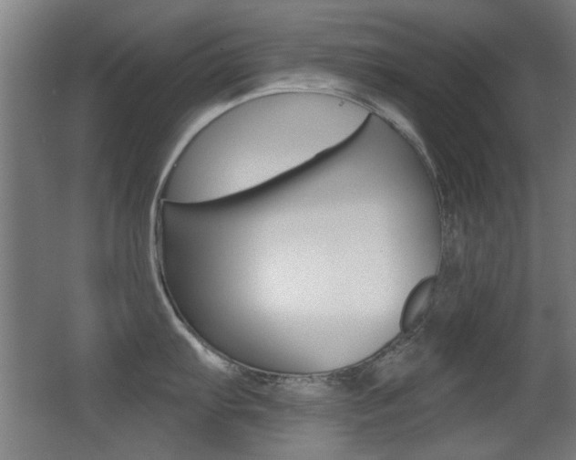 X0000062891103200601131010