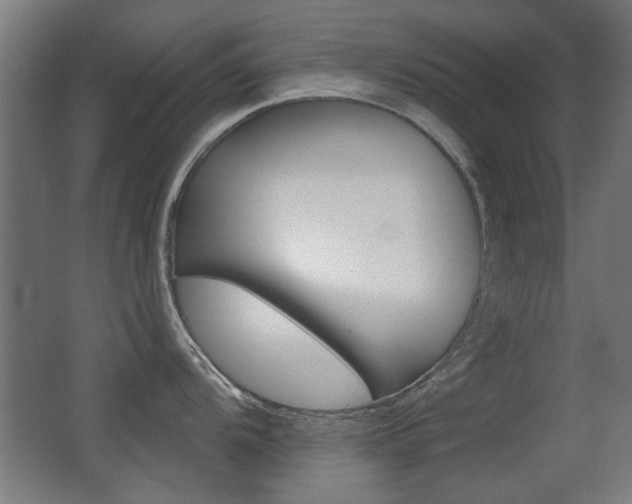 X0000062891104200601131010