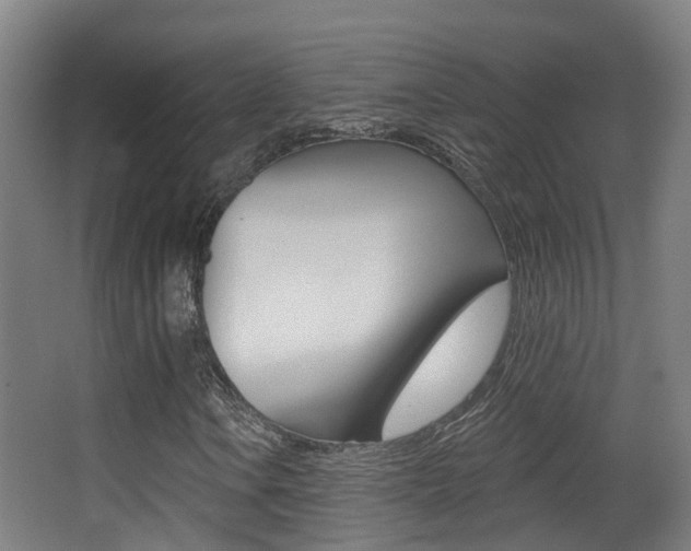 X0000062891106200601131009