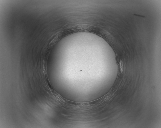 X0000062891107200601131009