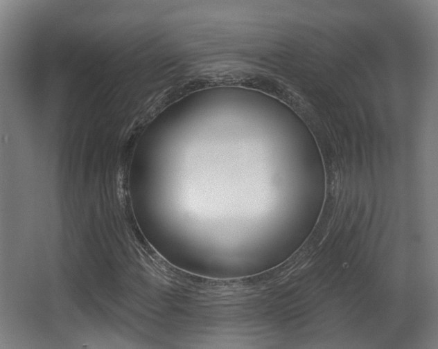 X0000062891108200601131009