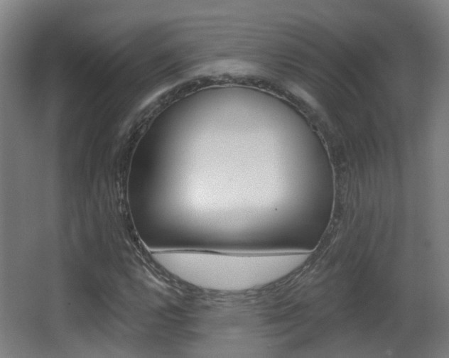 X0000062891112200601131009