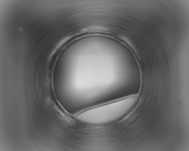 X0000062891115200601131009