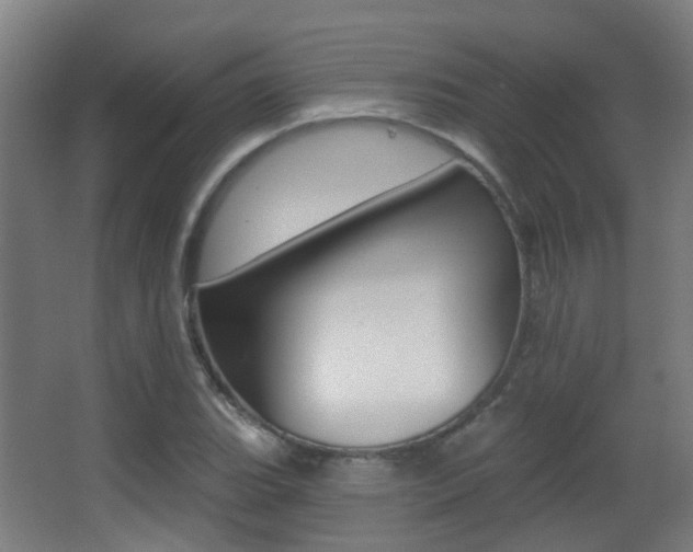 X0000062891119200601131009