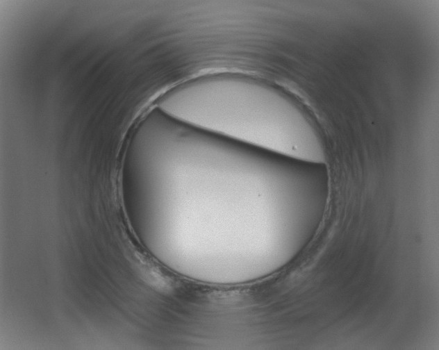 X0000062891121200601131009