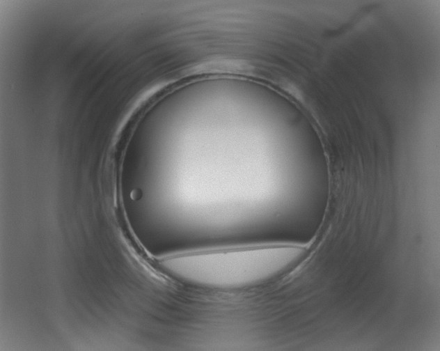 X0000062891123200601131009