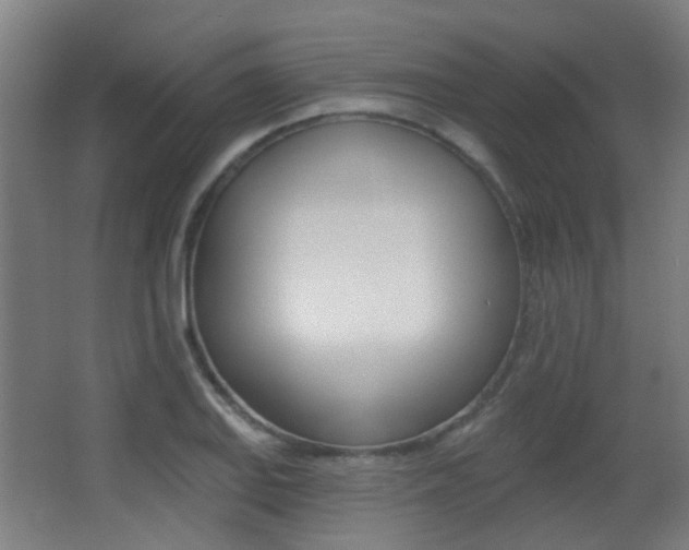 X0000062891127200601131010