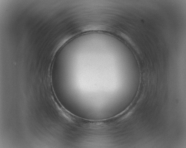 X0000062891129200601131010