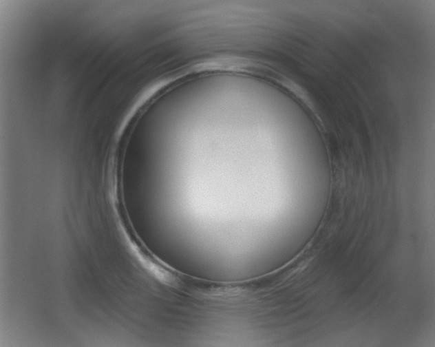 X0000062891131200601131010