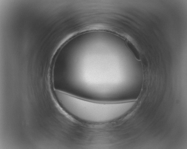 X0000062891134200601131010
