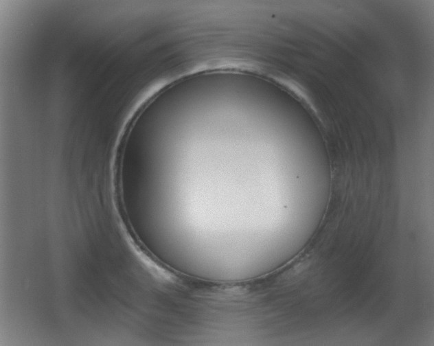 X0000062891135200601131010