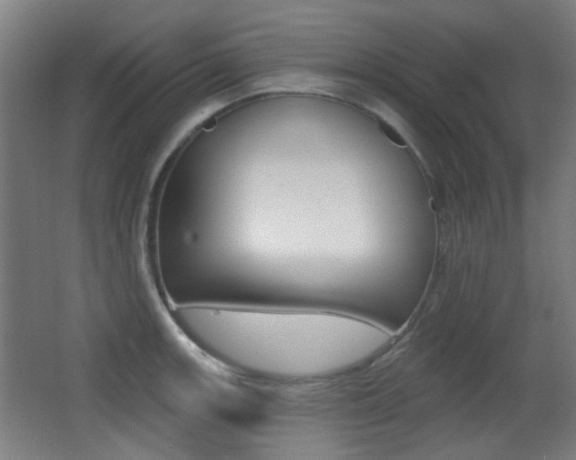 X0000062891139200601131010