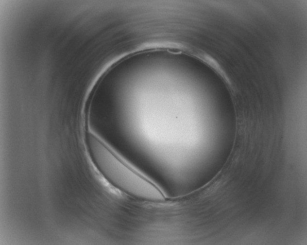 X0000062891140200601131010