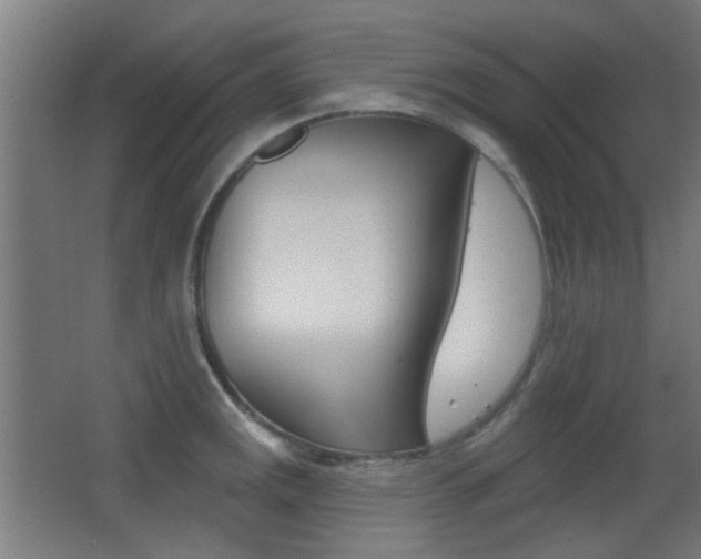 X0000062891141200601131010