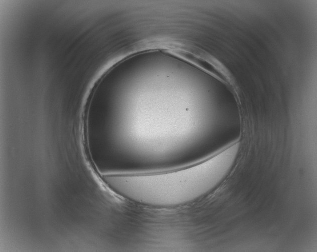 X0000062891144200601131010