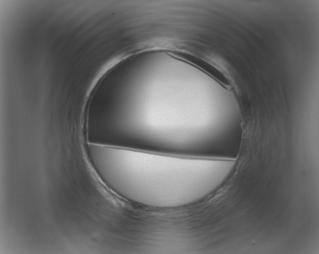 X0000062891146200601131010