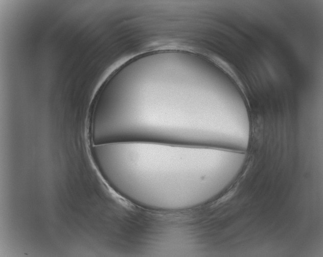 X0000062891149200601131010