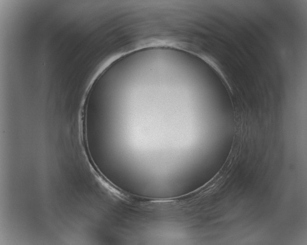 X0000062891151200601131010
