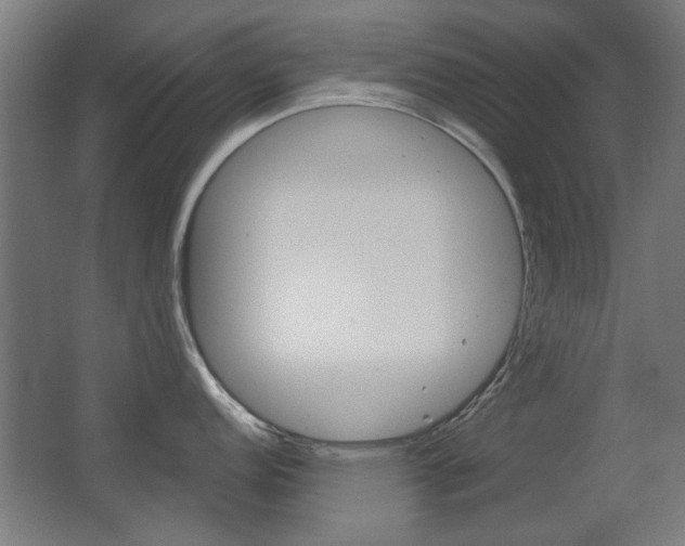 X0000062891152200601131010