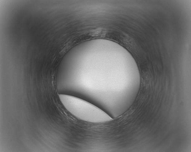 X0000062891154200601131009
